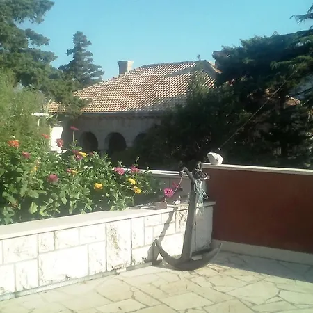 Blaga - *