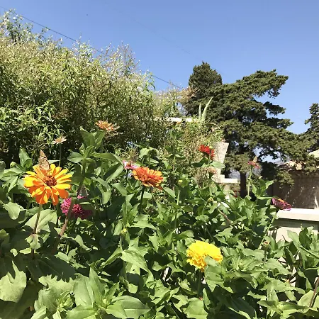 Apartmán Blaga -